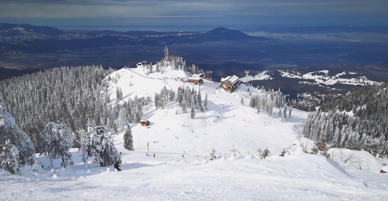 Mountain Lodge Rîşnov Exteriör bild