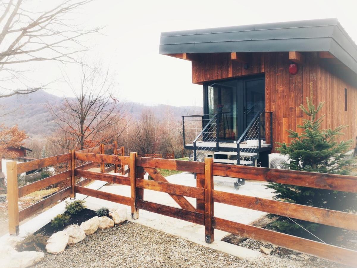 Mountain Lodge Rîşnov Exteriör bild
