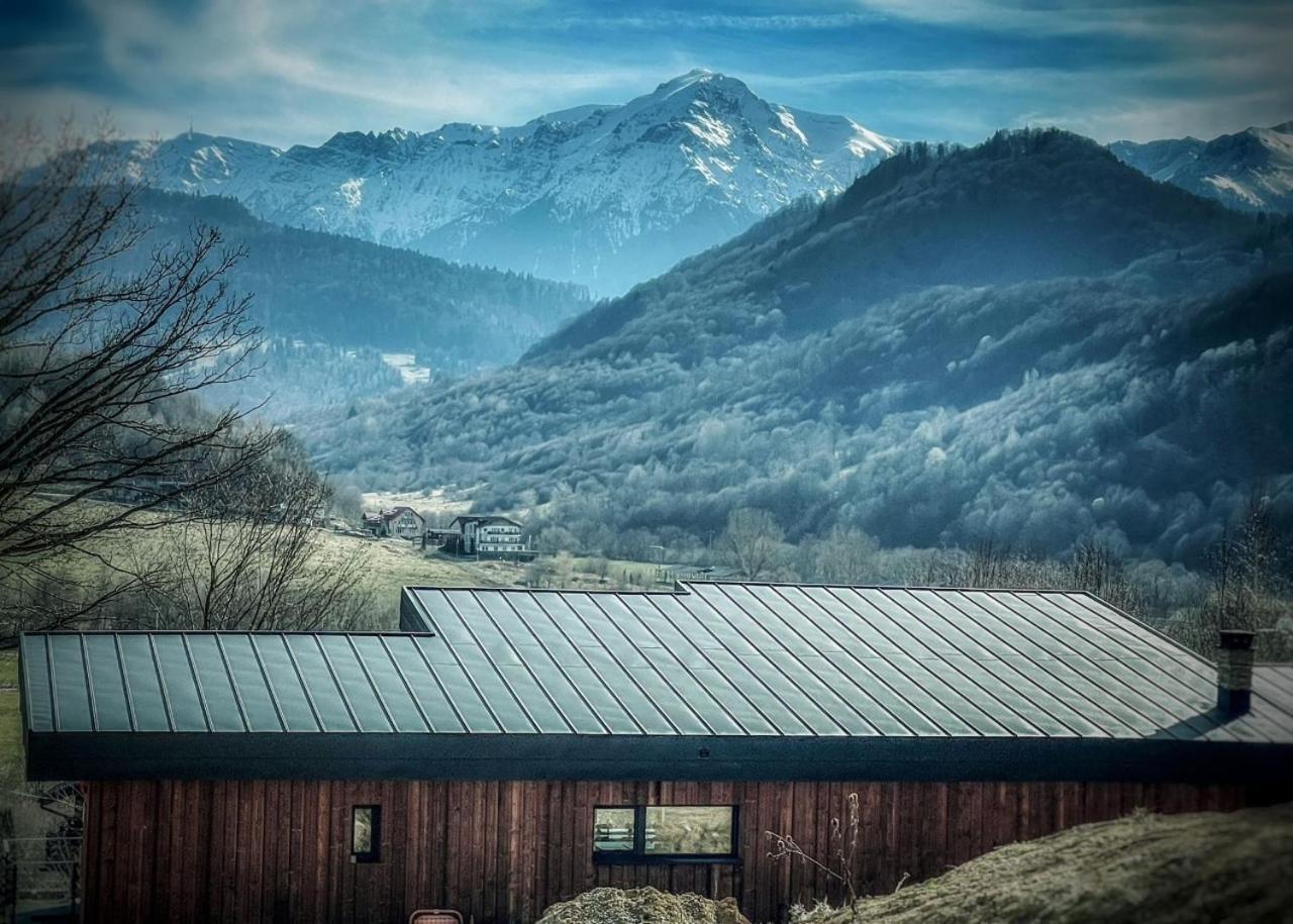 Mountain Lodge Rîşnov Exteriör bild